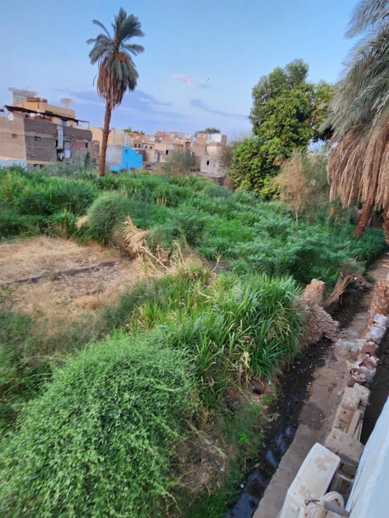 Dara Guest House Aswan Exterior photo